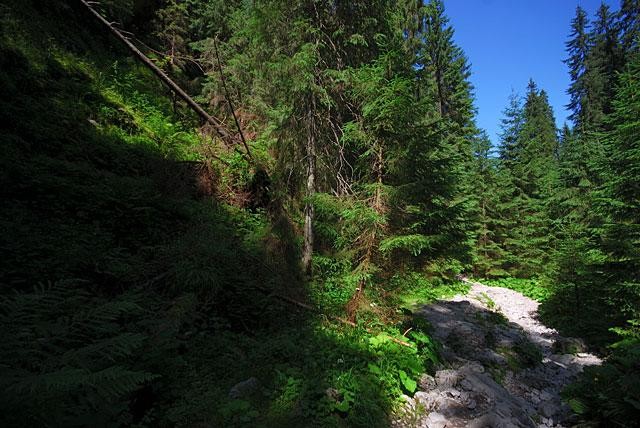 Galeria Polska - Tatry - Wąwóz Kraków, obrazek 7