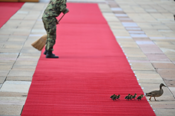 NEZVANI GOSTI NA DOČEKU SI ĐINPINGA Crveni tepih bio je rezervisan za predsednika Kine, a onda su prodefilovale ONE (FOTO, VIDEO)