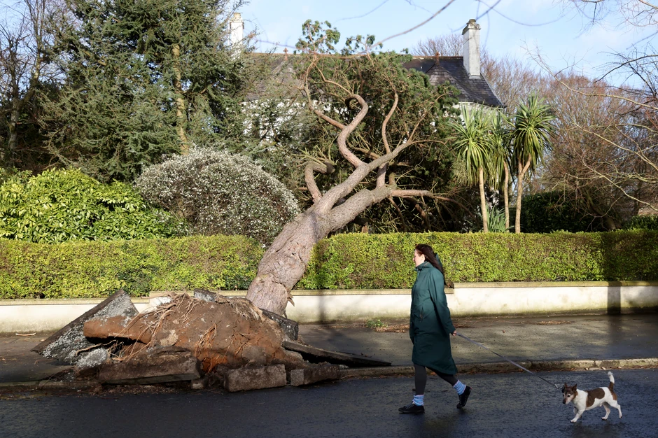 Oluja, Severna Irska, Belfast