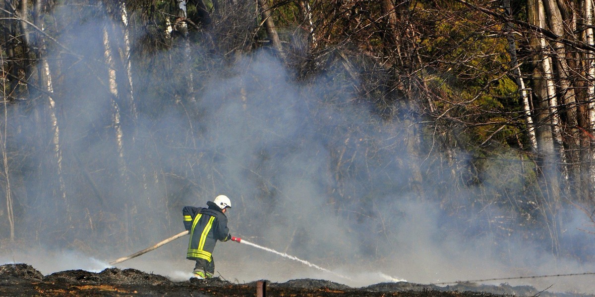 Tragedia na Podhalu. Strażacy znaleźli zwłoki w trawie