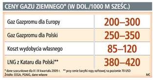 Gaz z Kataru może okazać się tańszy od rosyjskiego