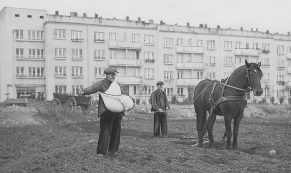 Aleja Marszałka Józefa Piłsudskiego  w latach 1932 - 1936 