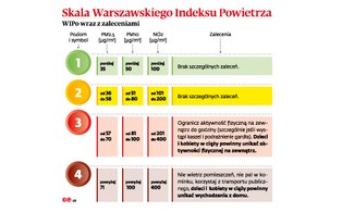 Smog groźny czy nie? Decyduje nauczyciel, przepisy milczą