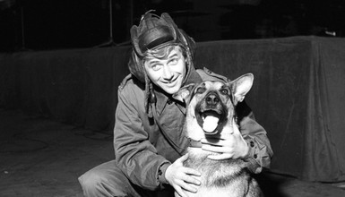 Najbardziej znany pies czasów PRL. Jak trafił na plan kultowego serialu?