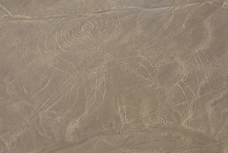 Tajemnicze rysunki na płaskowyżu Nazca w Peru