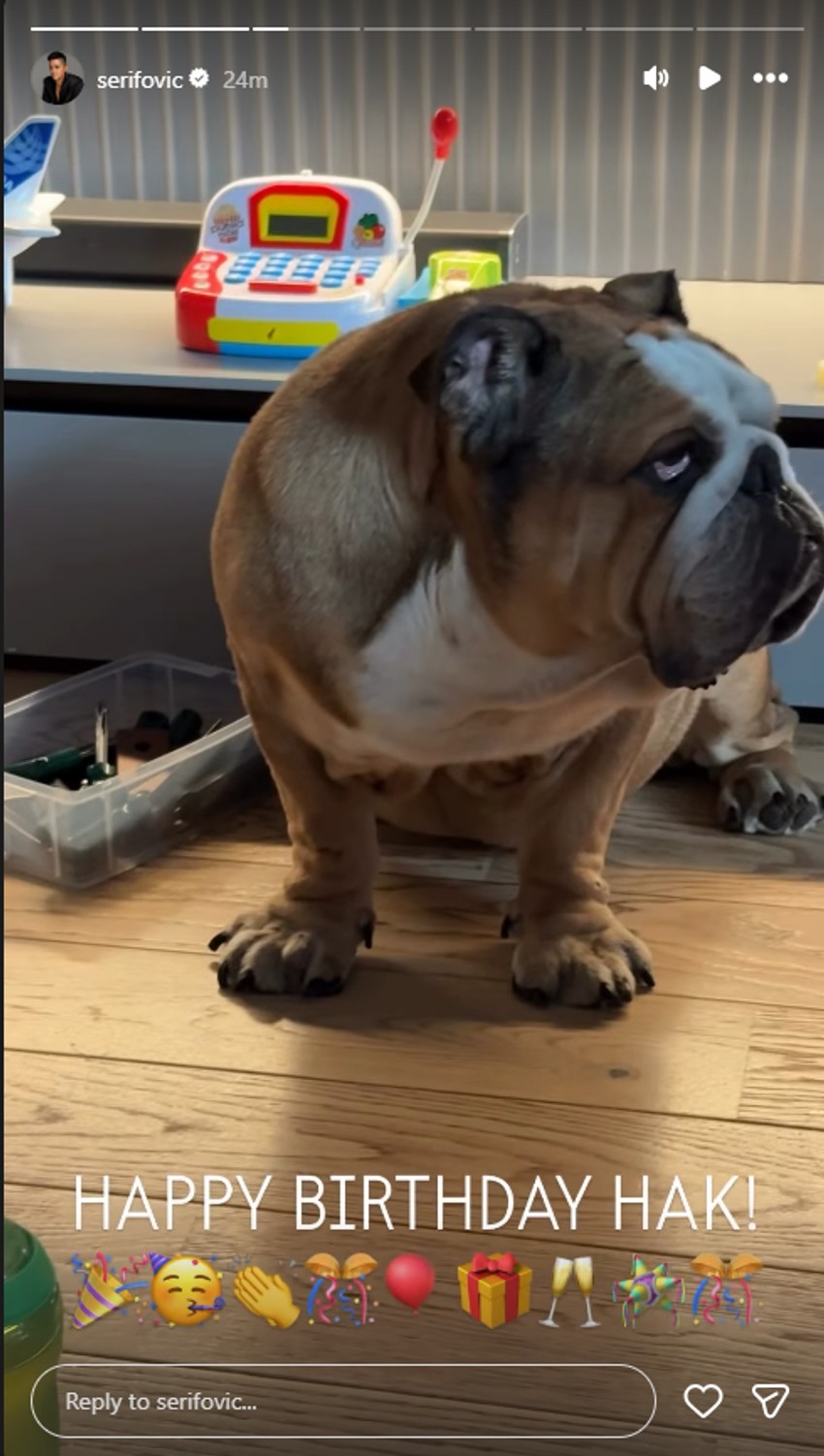 Marija i Mario Šerifović slave rođendan psu