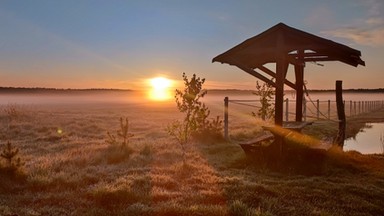 Polacy wracają na wieś. Mają dość kurortów i paragonów grozy. Odwiedziliśmy gospodarstwa agroturystyczne