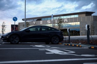 Niemieccy ekolodzy chcą zatrzymać rozbudowę fabryki Tesli pod Berlinem. Czy uda im się storpedować plany Muska?