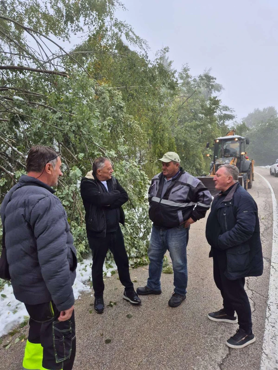 CRNA TRAVA TONČEV SNEG