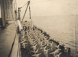 Poranne ćwiczenia marynarzy na niemieckim okręcie wojennym, 1917 rok