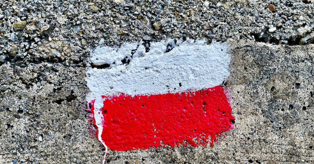 Znasz te polskie słowa? Sprawdź się i zgarnij choć jeden punkt