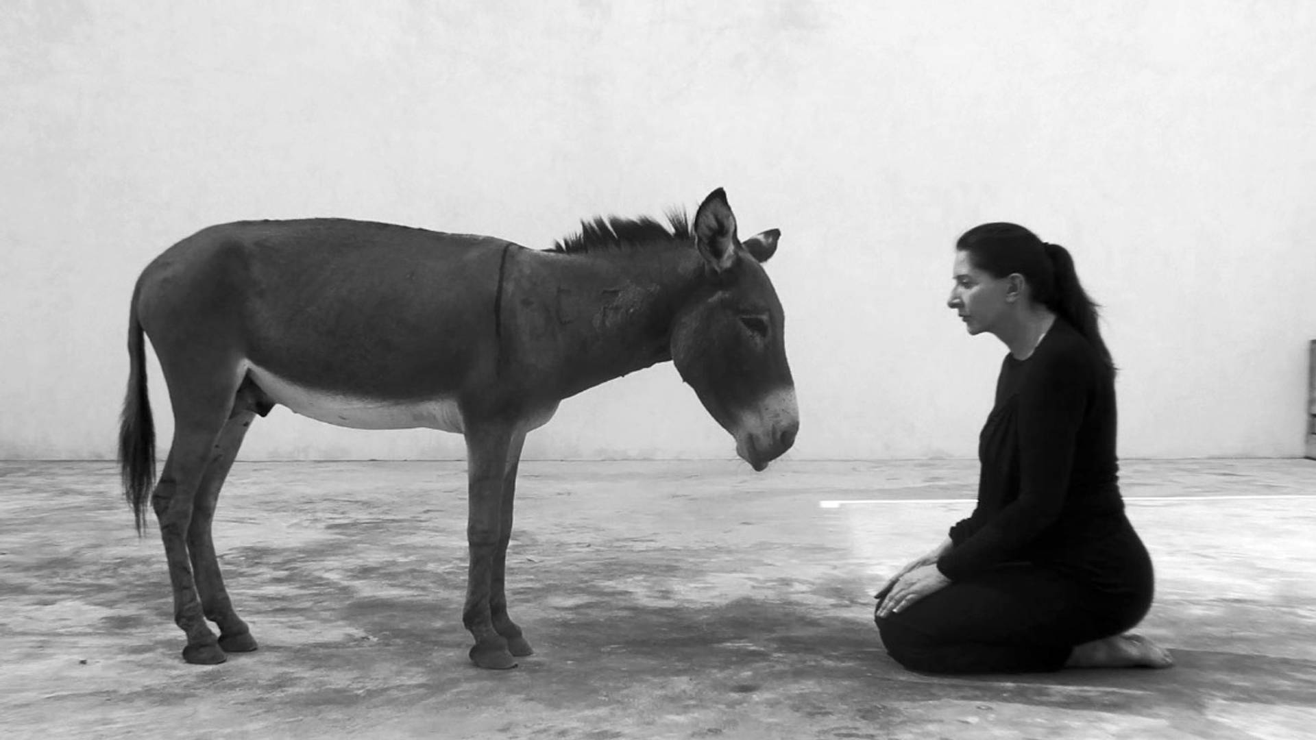 Na čemu je magarac u kog Marina Abramović gleda sat vremena?