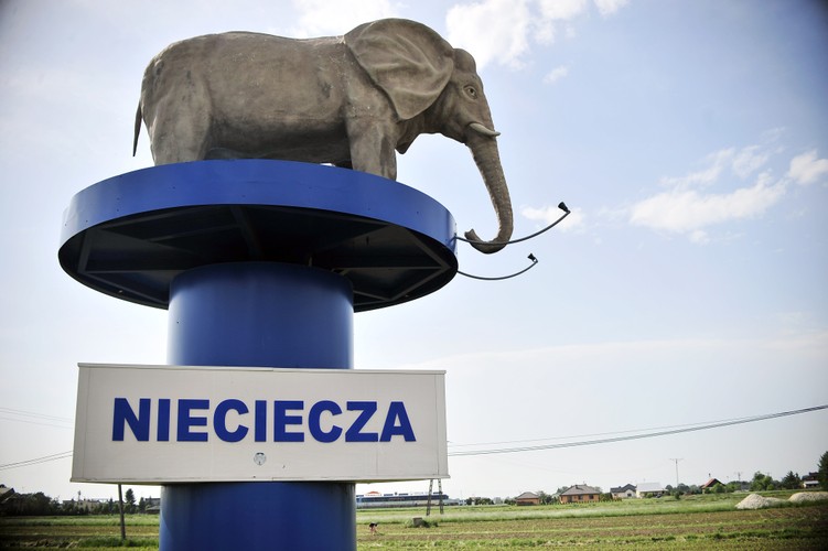 Termalica Nieciecza awansowła do T-Mobile Ekstraklasy