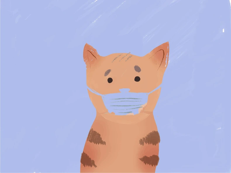 Bolje je obratiti pažnju na higijenu ljubimca nego ga staviti u izolaciju