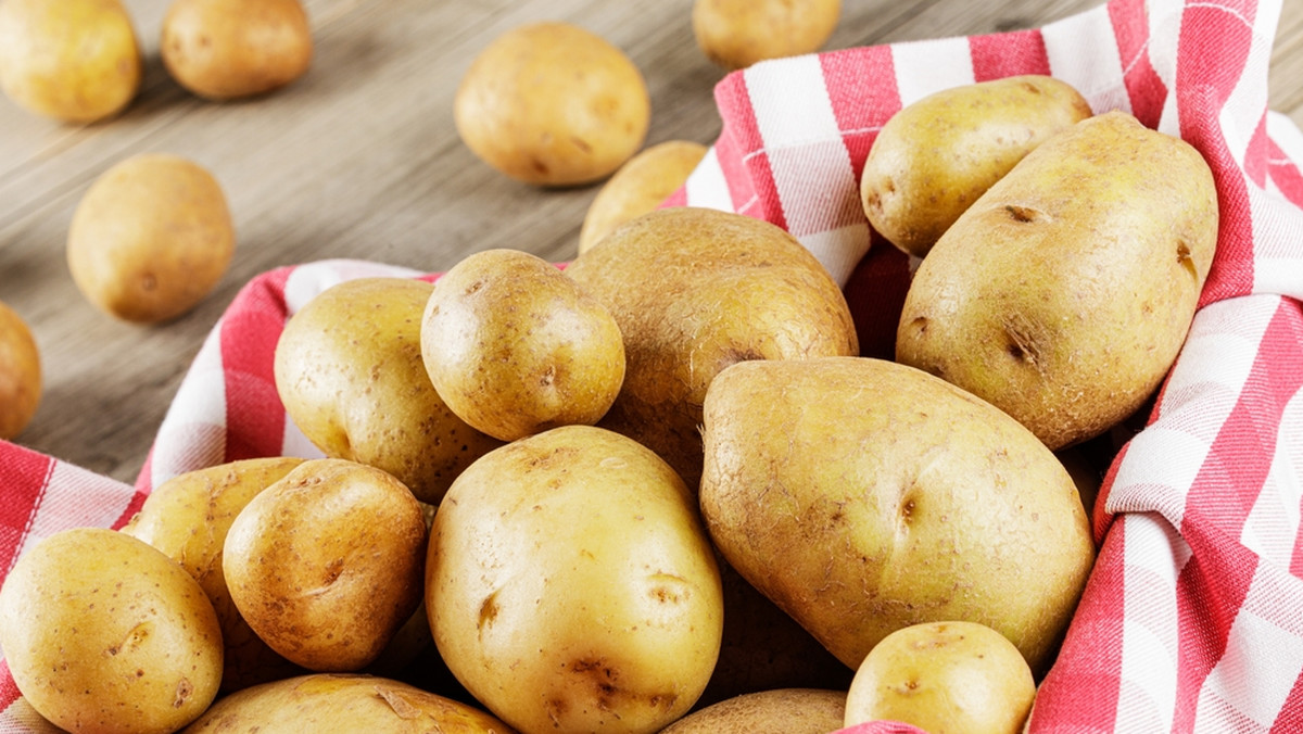 Czym się różnią ziemniaki wczesne od ziemniaków młodych?