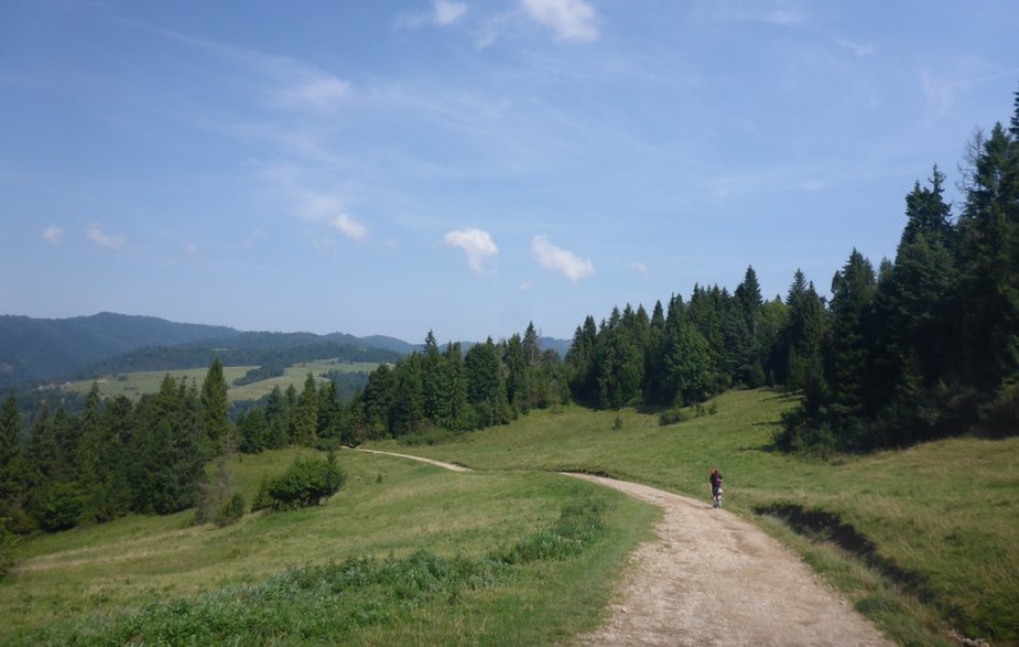 Otwarte hale w Małych Pieninach