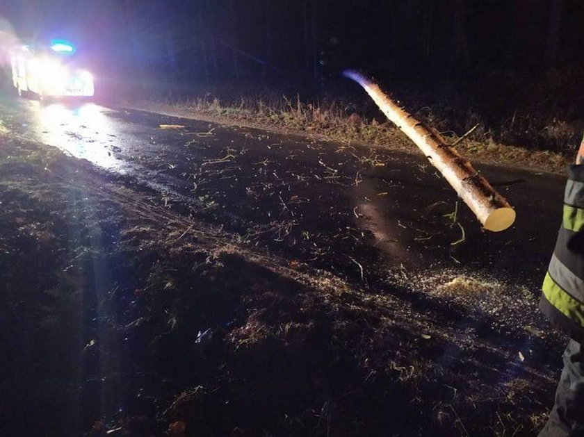 Horror na Opolszczyźnie. W jednej chwili padło stado krów