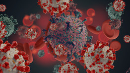 Koronavírus: tizennégy napos szükségállapotot vezetnek be Csehországban