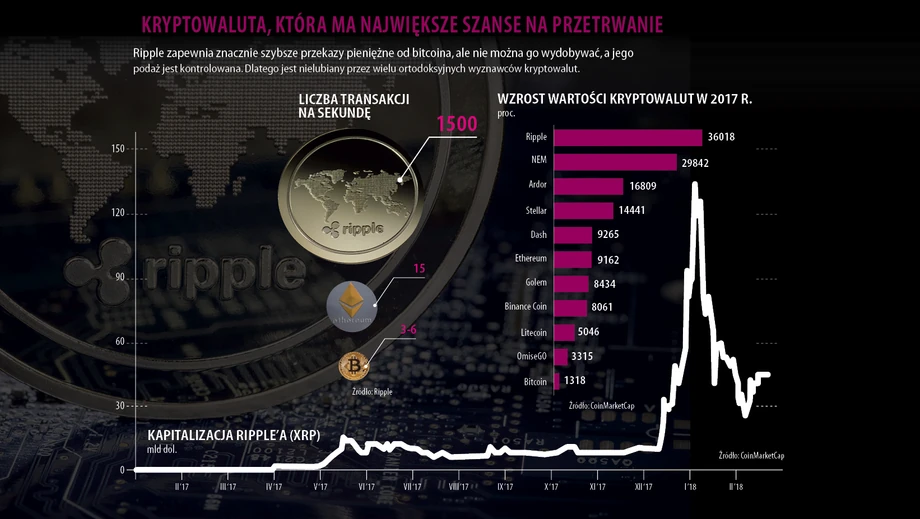 Kryptowaluta, która ma największe szanse na przetrwanie