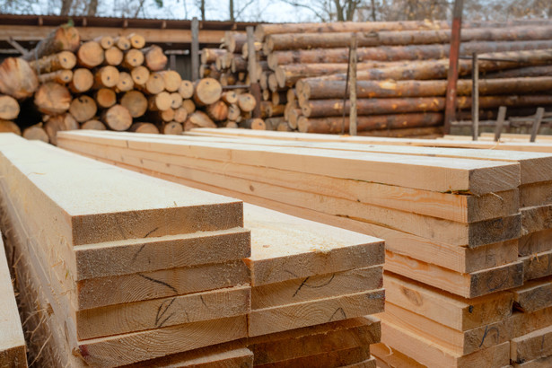 Zmieni się system sprzedaży drewna. Od kiedy zacznie obowiązywać?