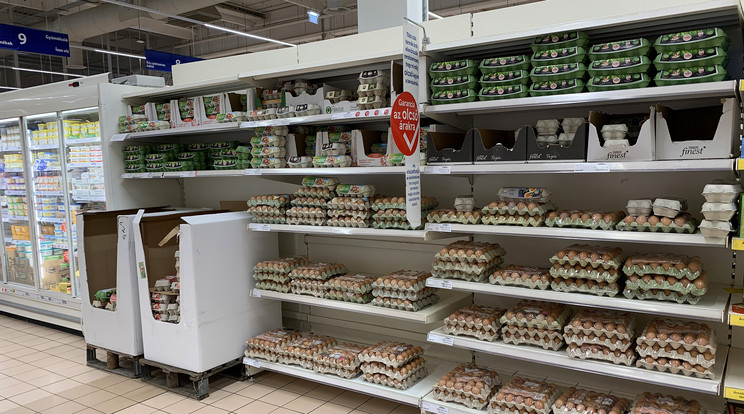 Eltörli a vásárlási limitet a Tesco az árstopos tojásnál / Fotó: Ringier