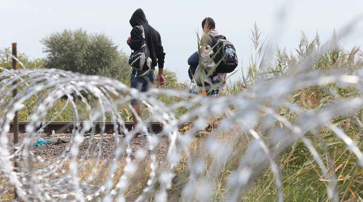 A szögesdrót kevés volt, most bíróság utasítja ki a menekülteket / Fotó: Isza Ferenc