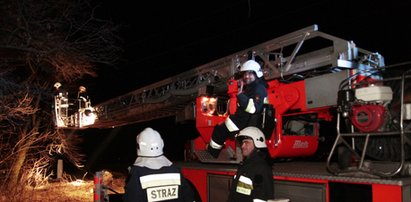 Hugo wyfrunął z domu. Ratowali go bliscy i strażacy