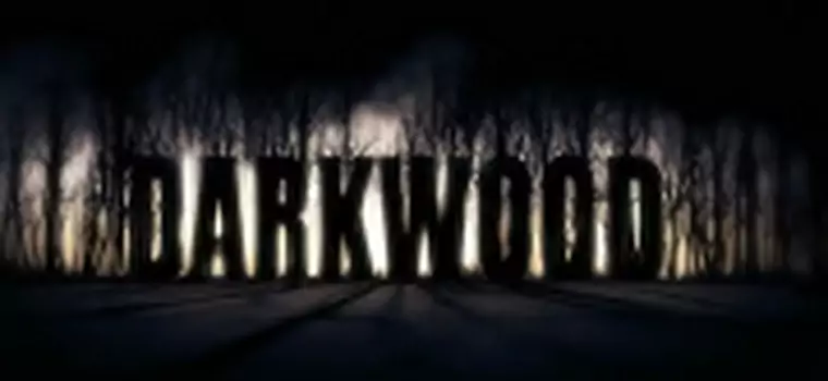 Darkwood - intrygujący horror od polskich twórców