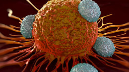 Nasze limfocyty T mogą zabijać raka