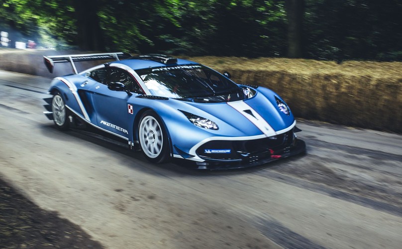 Arrinera hussarya GT