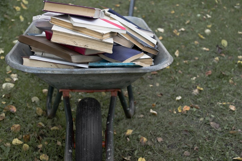 Według najnowszych badań Biblioteki Narodowej w ubiegłym roku po lekturę sięgnęło zaledwie 37 procent Polaków, a tylko co czwarta osoba czyta siedem lub więcej książek rocznie. Niemal co czwarte gospodarstwo domowe nie ma nawet jednej książki.