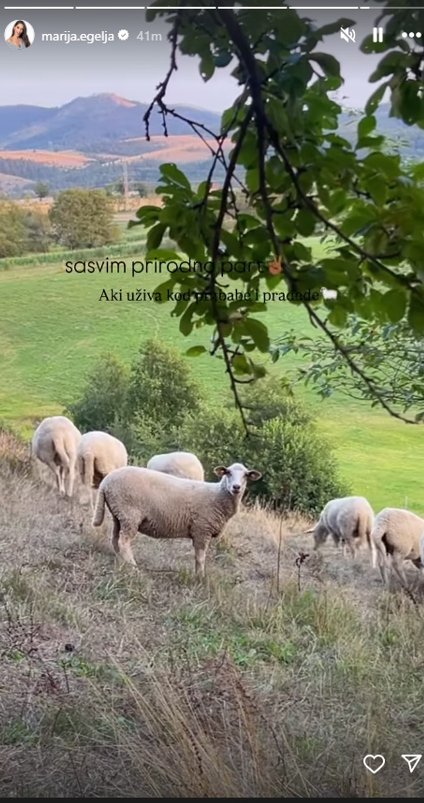 Marija Egelja objava