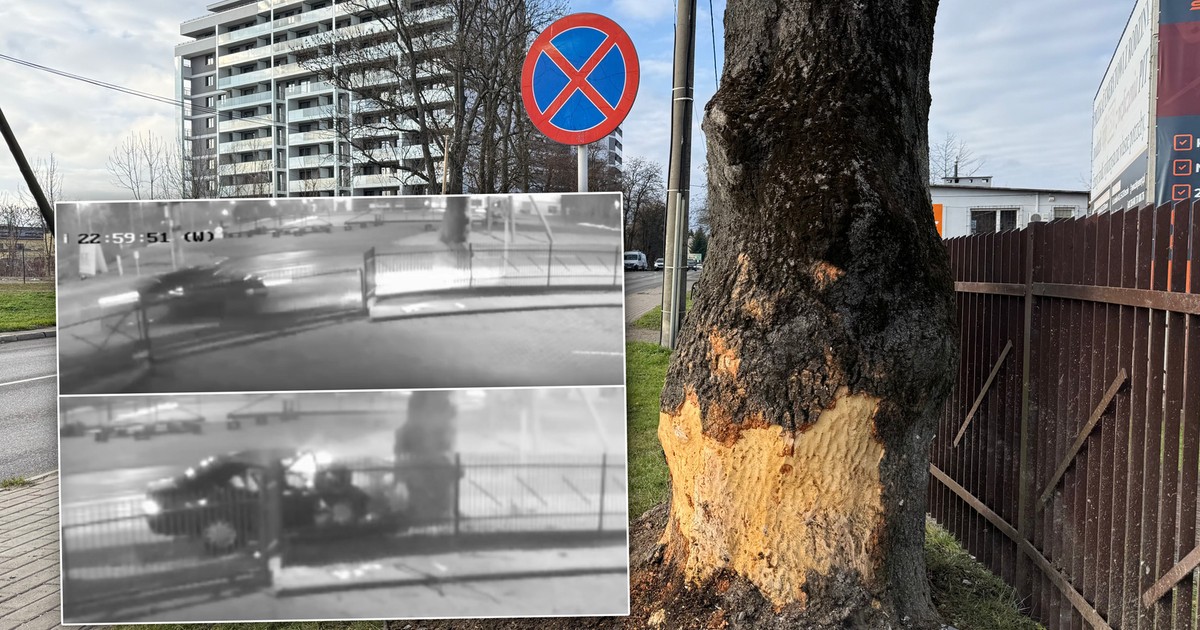 Młodzi mężczyźni pędzili jak strzała. Doszło do tragedii. Wstrząsające nagranie z Rzeszowa