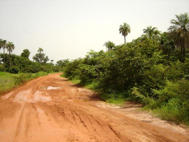 Galeria Gambia, obrazek 3
