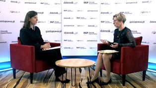 Ryng: Transformacja energetyczna w Polsce przebiega zbyt wolno