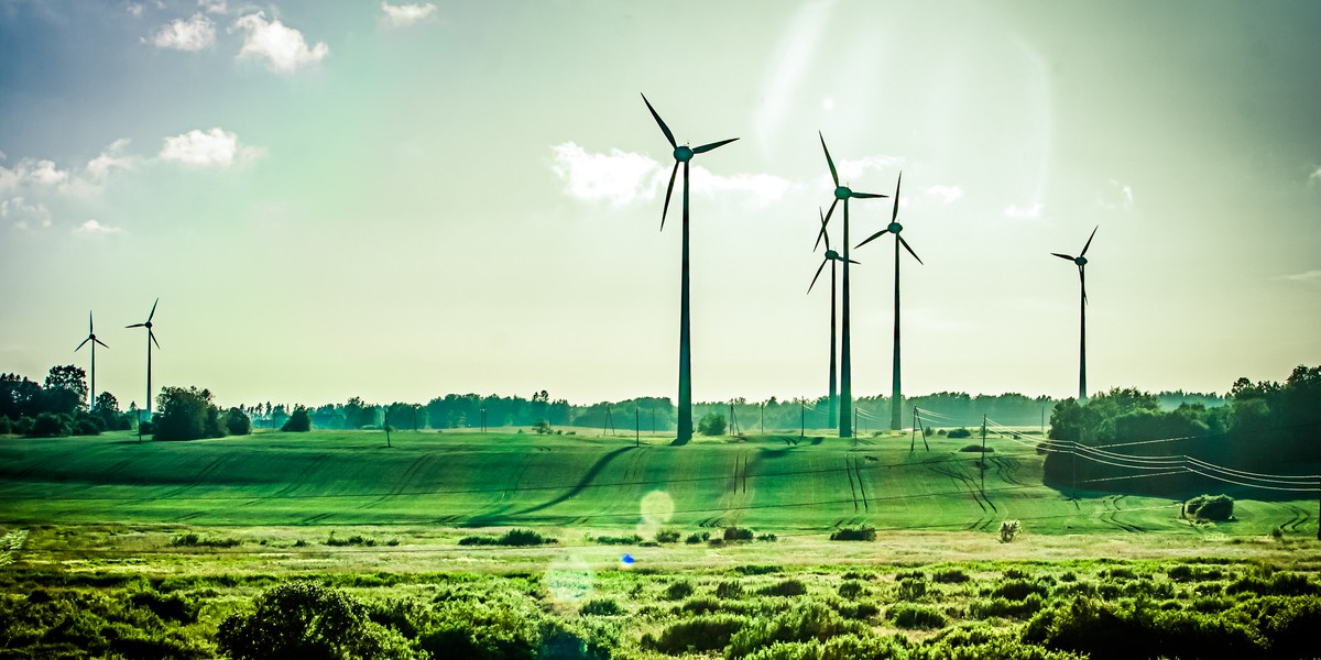 PE przegłosował stanowisko ws. dyrektywy o energii odnawialnej