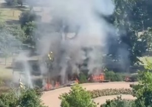 Požar u Limanskom parku
