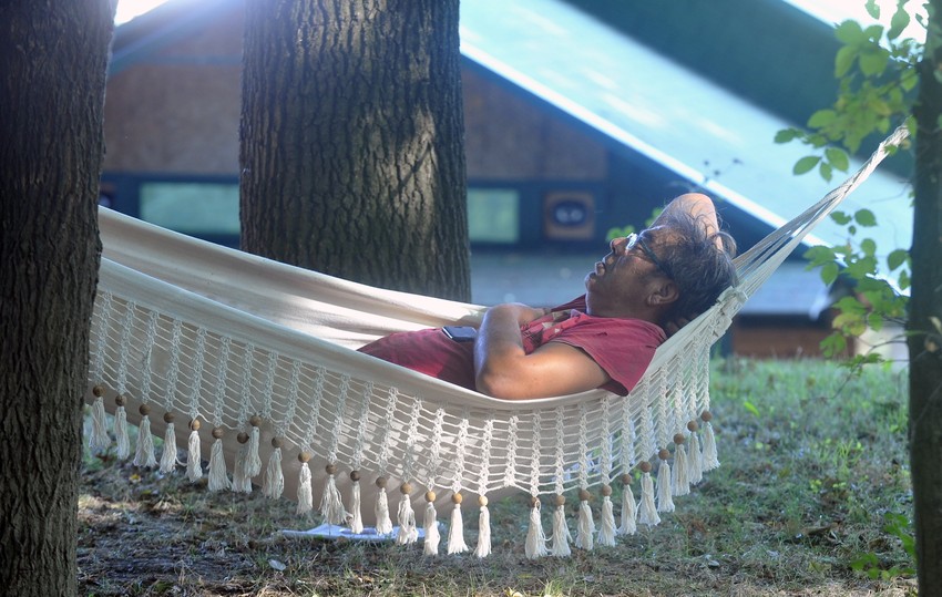 Spokoj: Ima li šta slađe od popodnevne dremke u hladovini?