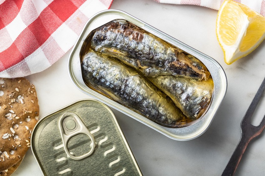 Sardine
