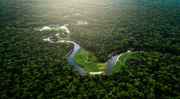 Amazonas