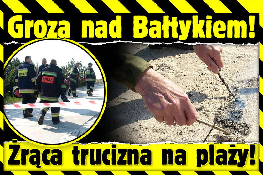 Groza nad Bałtykiem Żrąca trucizna na plaży