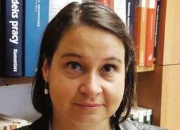 Wstęp działacza na teren firmy to międzynarodowy standard [WYWIAD]