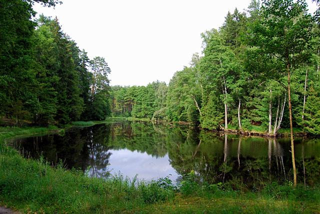 Galeria Polska - Bory Tucholskie, obrazek 30