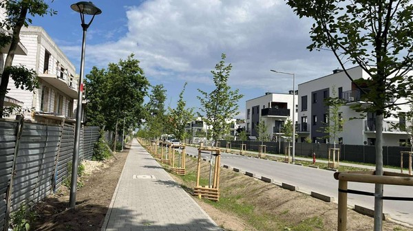 Nowe drogi na Lipie Piotrowskiej