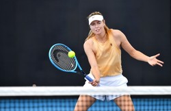 Turniej WTA w Brisbane: Maria Szarapowa z "dziką kartą"