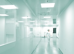 Matka i córka zatruły się grzybami. 16-latka w śpiączce