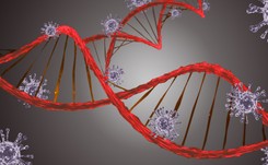 Pierwsze zakażenie wariantem Omikron u naszych sąsiadów?