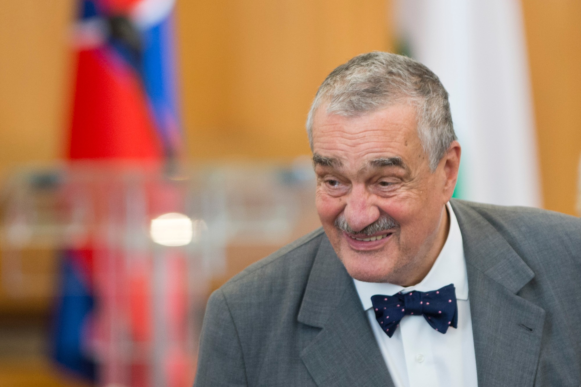 Politik Karel Schwarzenberg.