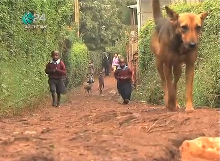 Oskar preuzeo brigu o napuštenoj deci