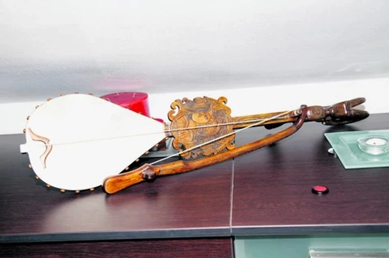 Gusle u stanu Vladimira Kovačevića